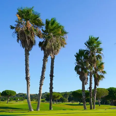 Au Bord De L'eau - Cosy Au Cap D'agde Appartamento Agde