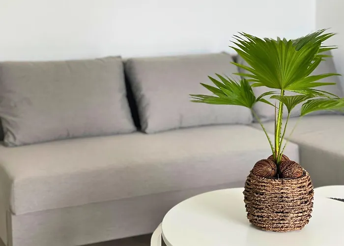 Au Bord De L'eau - Cosy Au Cap D'agde شقة آجد